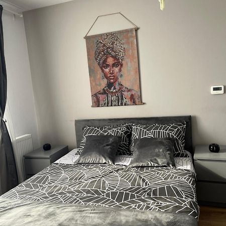 Apartament Acasa Sibiu Exteriér fotografie