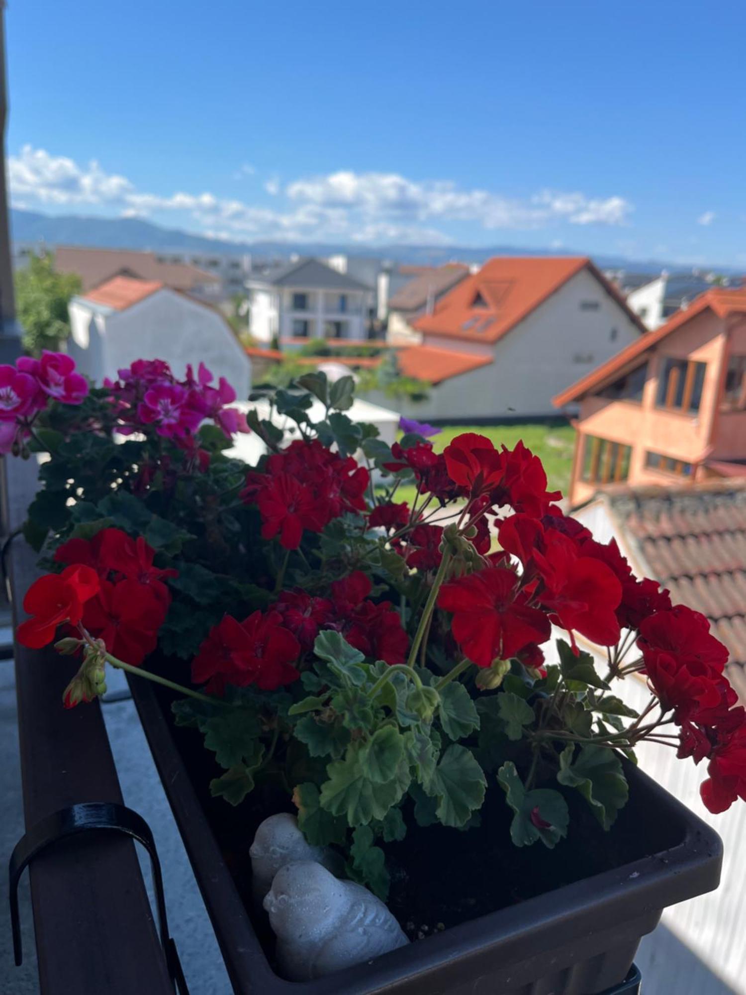 Apartament Acasa Sibiu Exteriér fotografie
